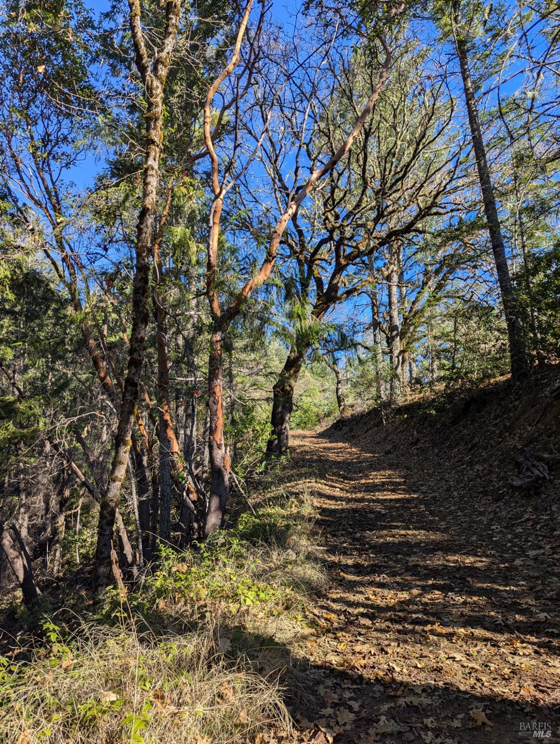 Detail Gallery Image 26 of 52 For 3751 Running Springs Rd, Ukiah,  CA 95482 - – Beds | – Baths