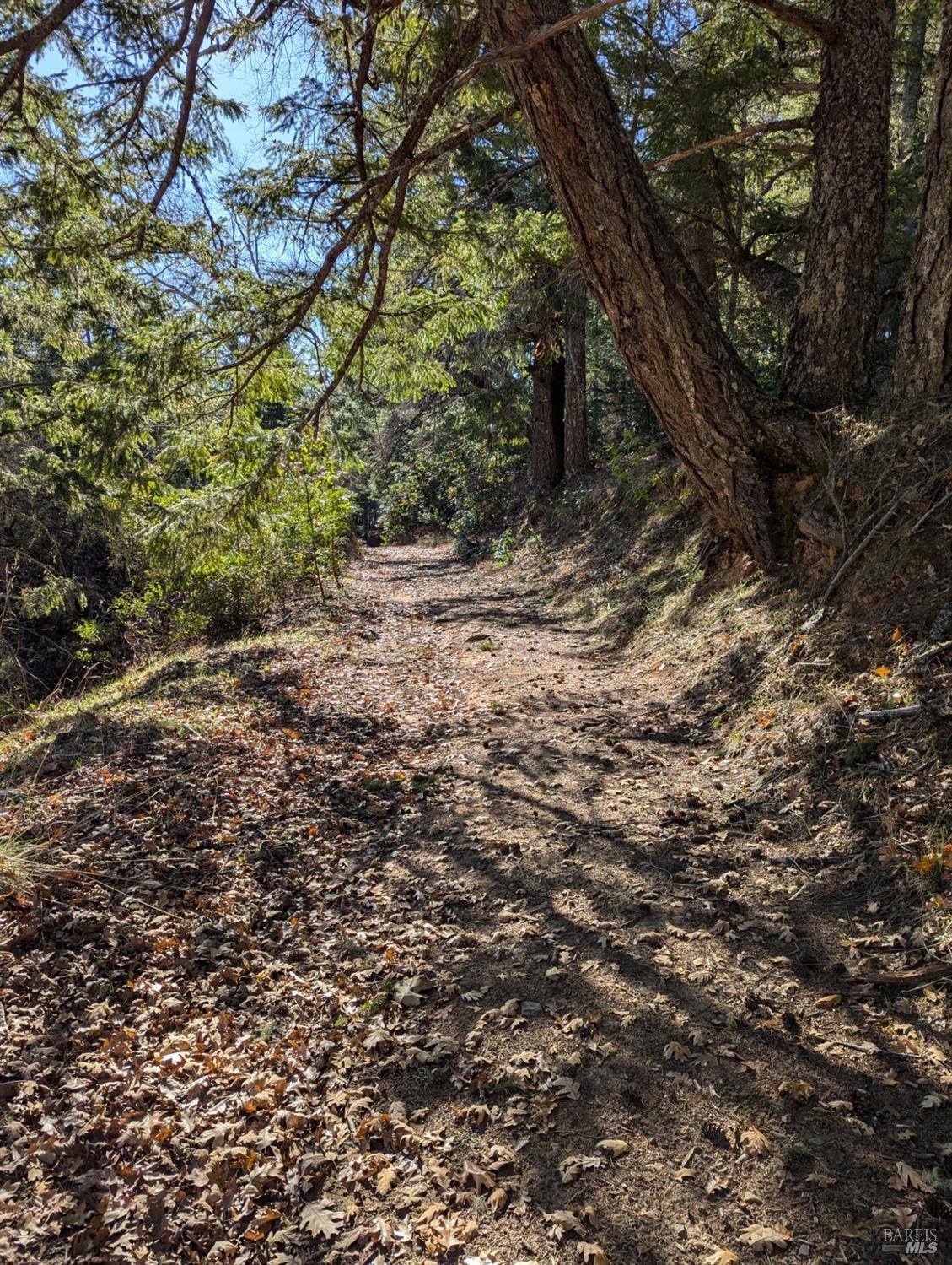 Detail Gallery Image 34 of 52 For 3751 Running Springs Rd, Ukiah,  CA 95482 - – Beds | – Baths