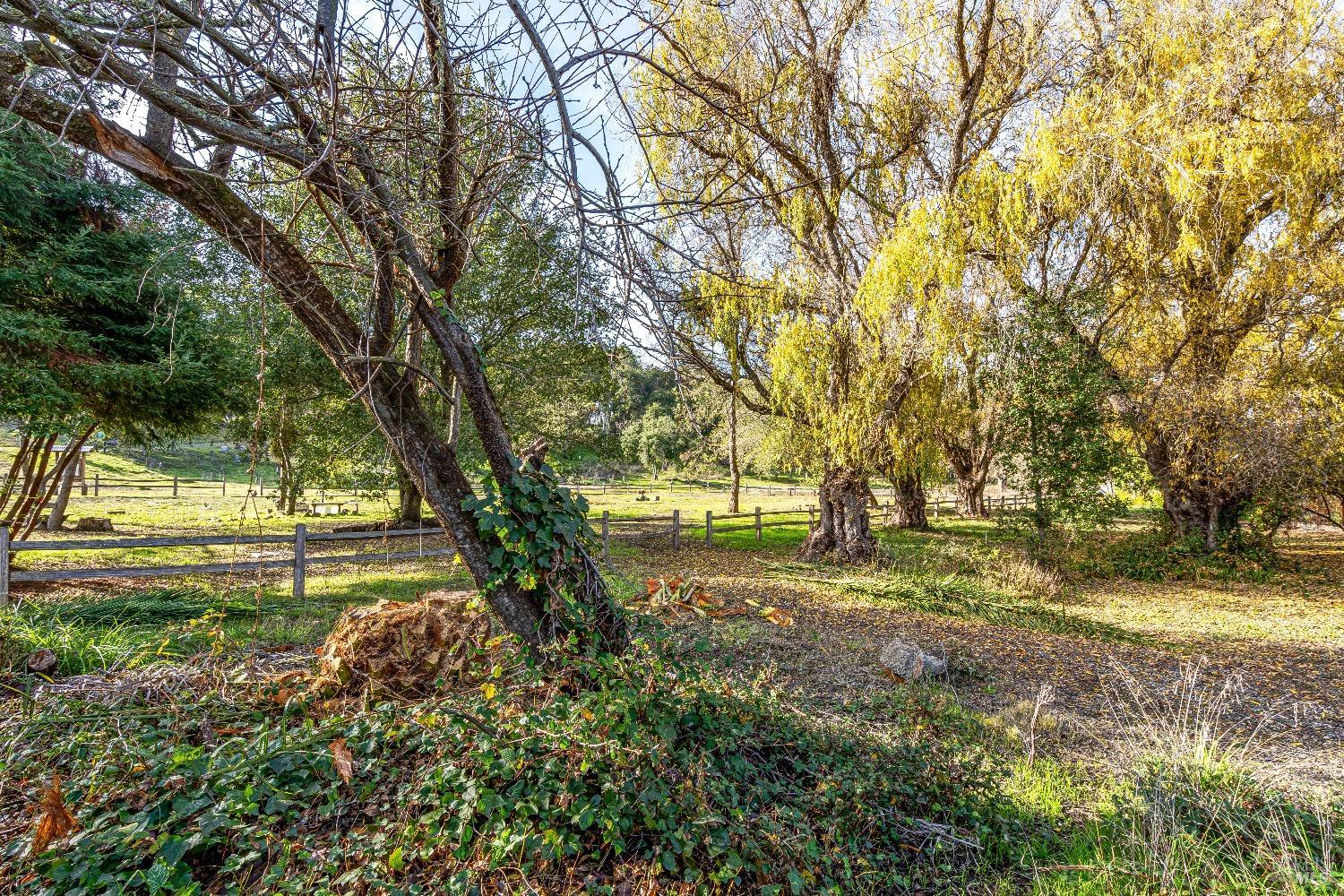 Detail Gallery Image 43 of 48 For 1645 Terrace Way, Santa Rosa,  CA 95404 - 4 Beds | 2 Baths