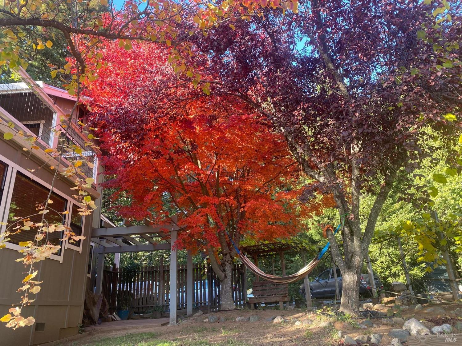 Detail Gallery Image 13 of 36 For 4809 Bear Canyon Rd, Willits,  CA 95490 - 4 Beds | 3/1 Baths