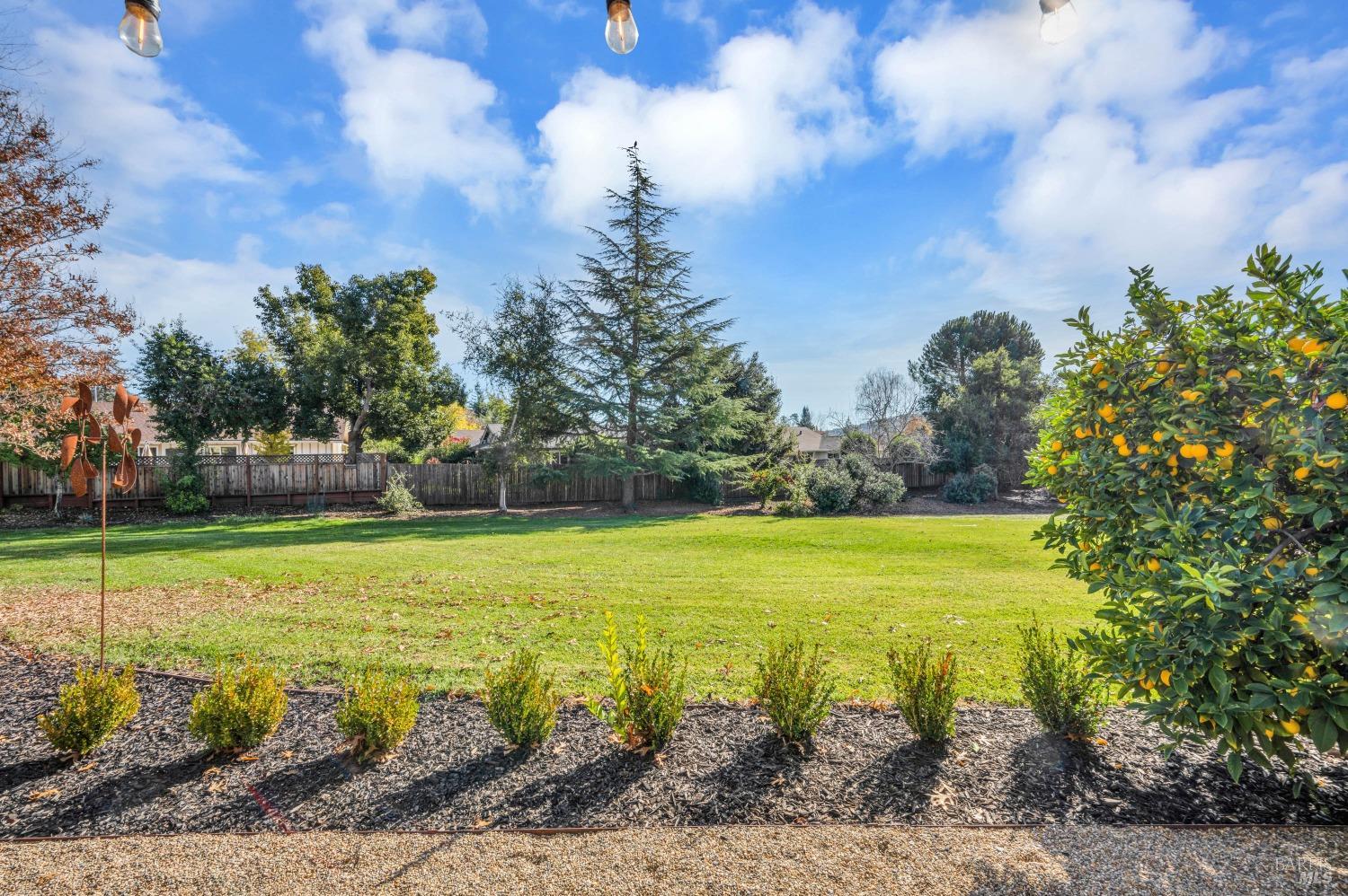 Mountain Vista Circle, Santa Rosa, California image 28