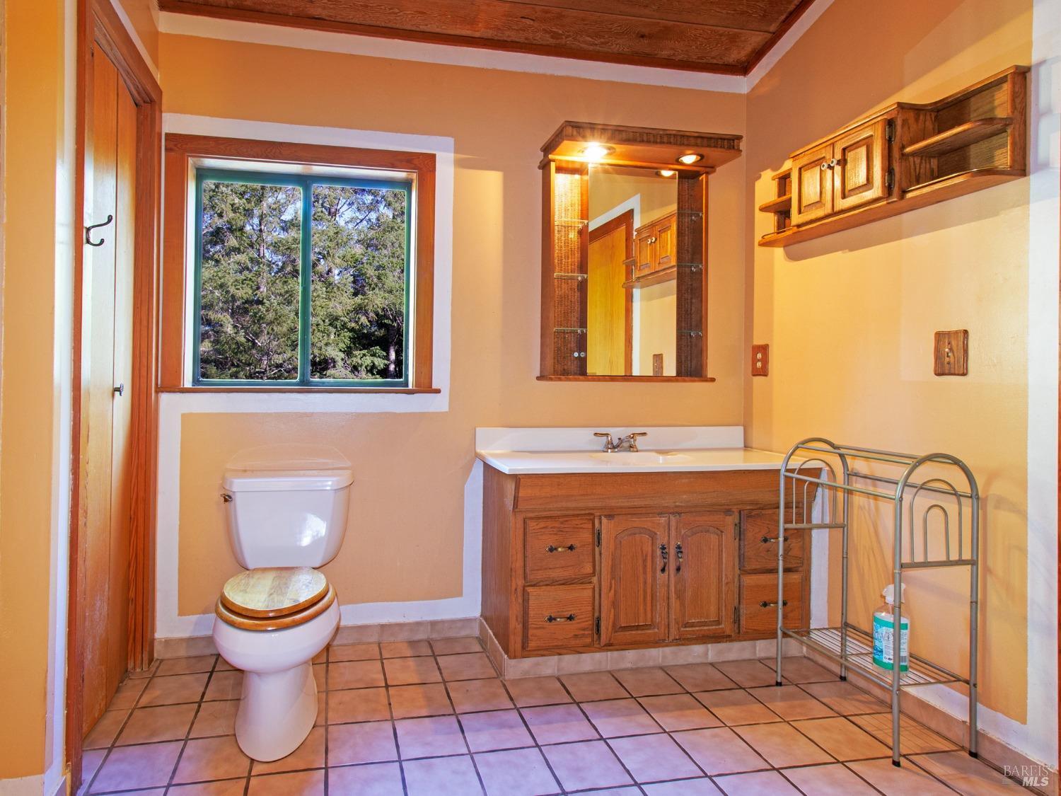 Detail Gallery Image 48 of 74 For 13975 Green Valley Rd, Forestville,  CA 95436 - 4 Beds | 3/2 Baths