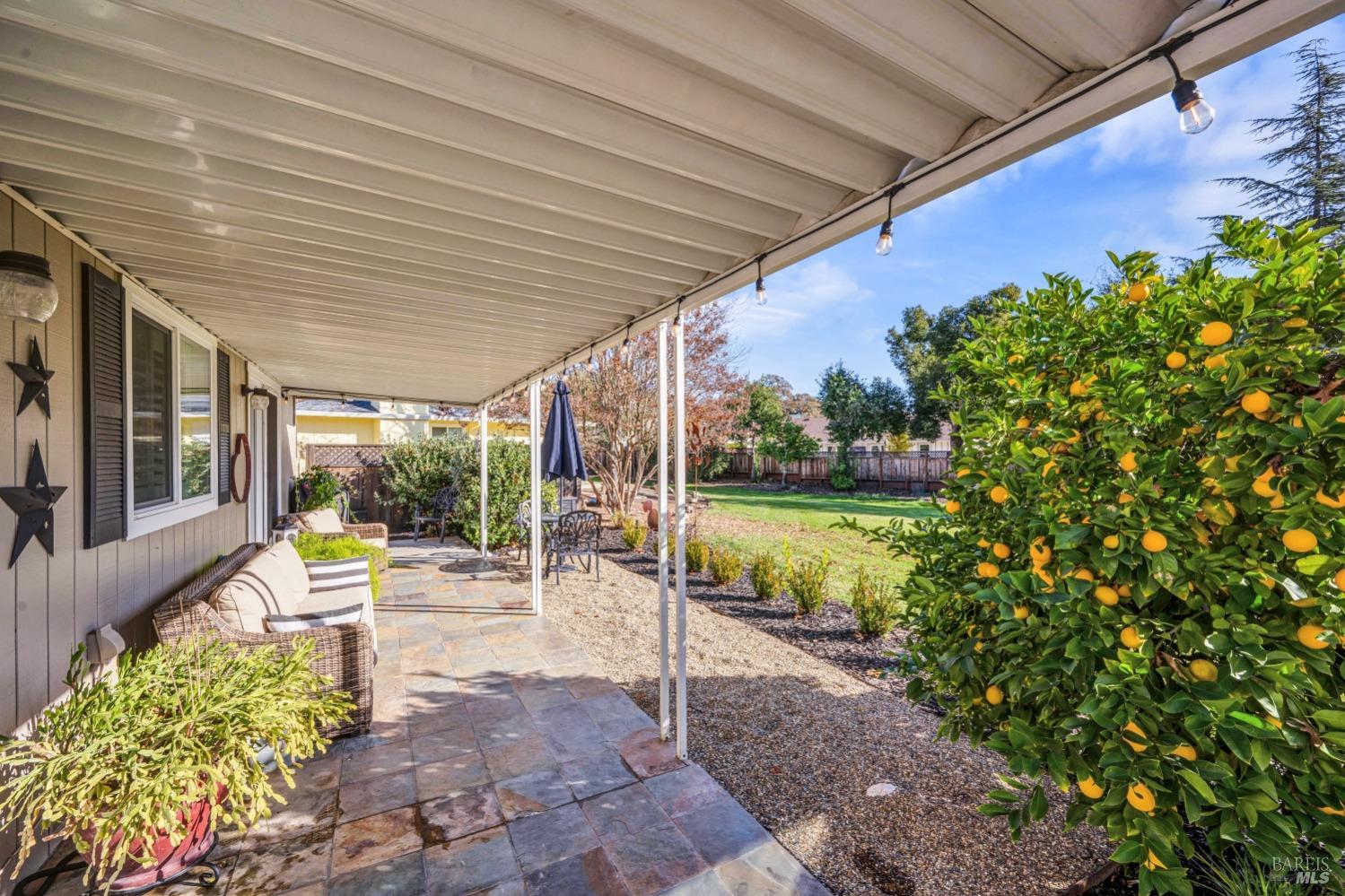 Mountain Vista Circle, Santa Rosa, California image 30