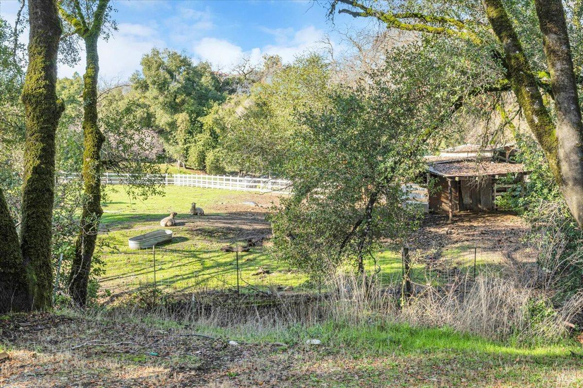 Detail Gallery Image 64 of 64 For 1050 Bel Arbres Dr, Redwood Valley,  CA 95470 - 3 Beds | 2 Baths