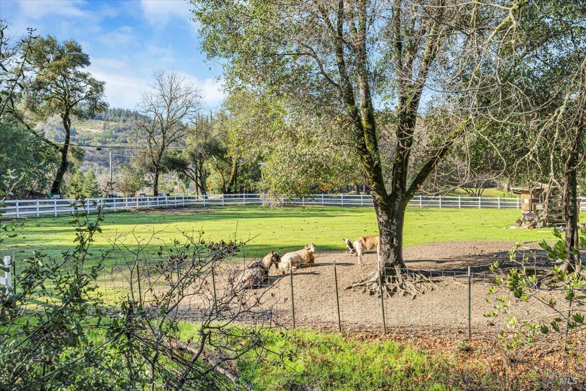 Detail Gallery Image 63 of 64 For 1050 Bel Arbres Dr, Redwood Valley,  CA 95470 - 3 Beds | 2 Baths