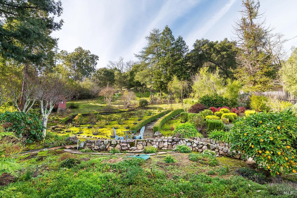 Detail Gallery Image 22 of 40 For 737 Butterfield Rd, San Anselmo,  CA 94960 - 3 Beds | 3 Baths