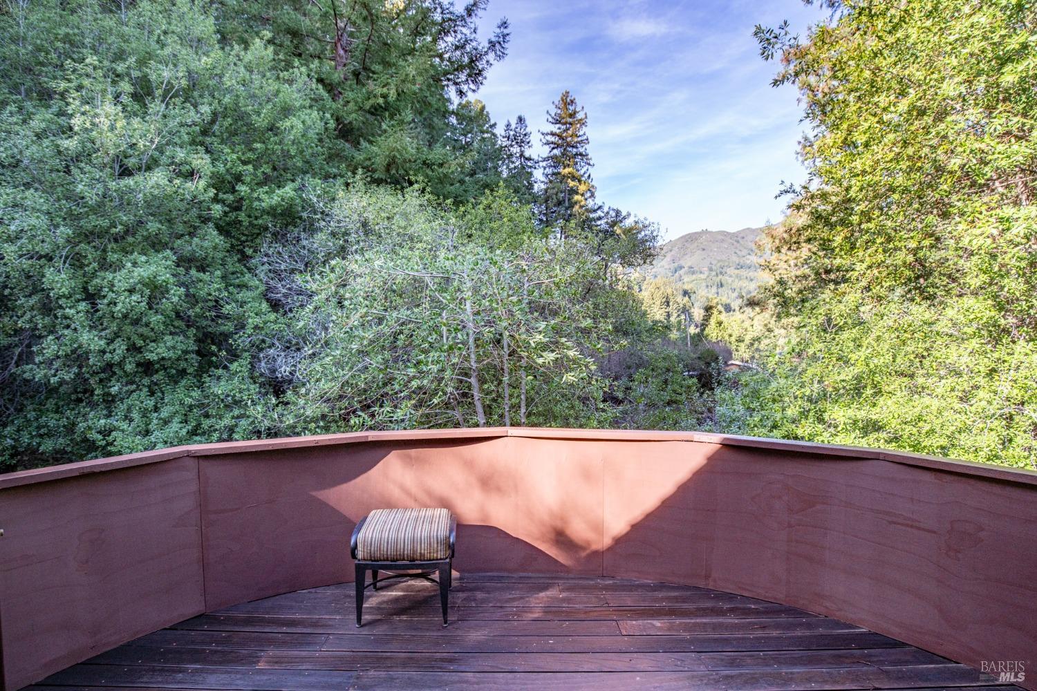 Detail Gallery Image 18 of 58 For 189 Marion Ave, Mill Valley,  CA 94941 - 3 Beds | 2 Baths