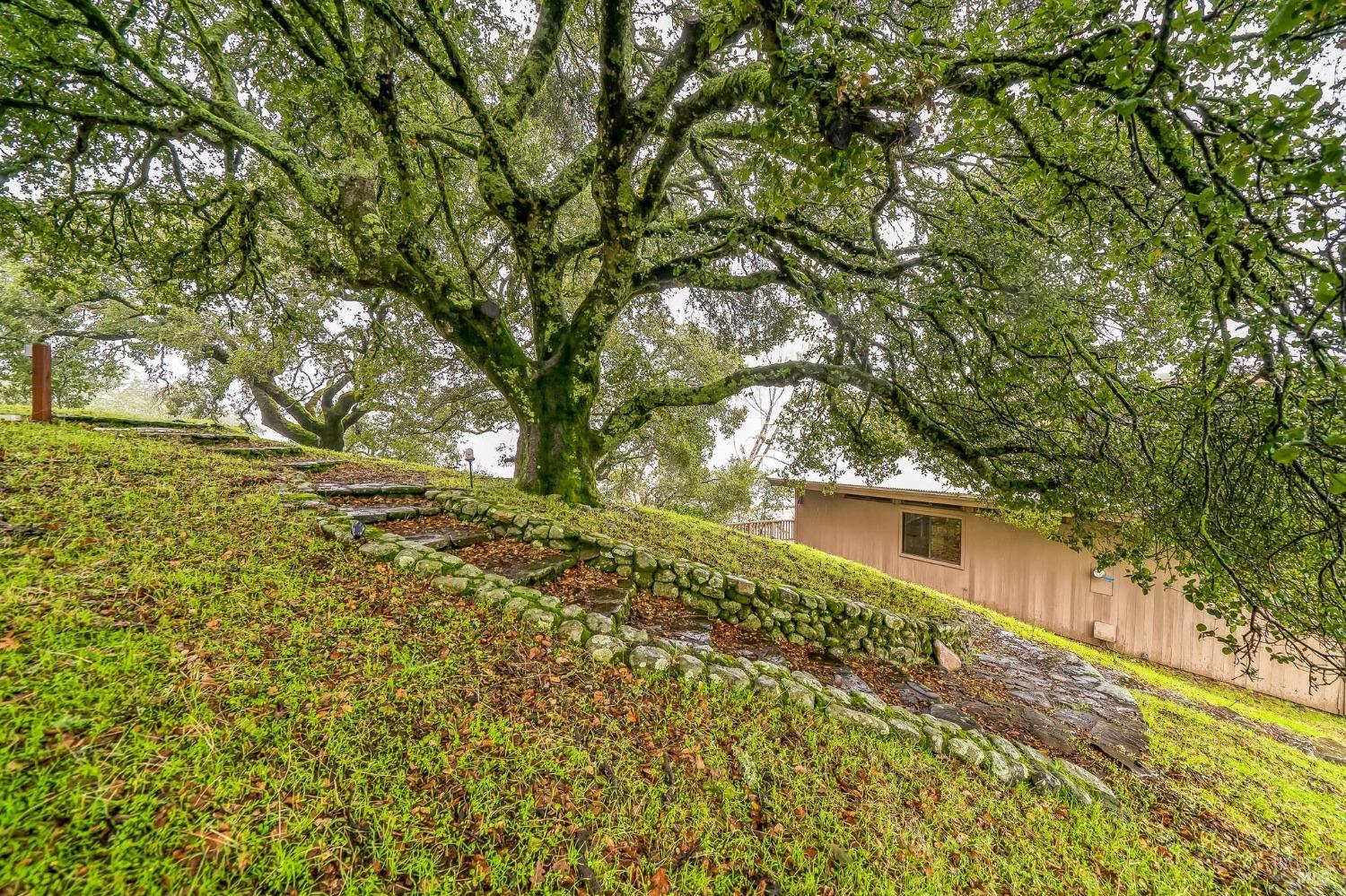 Detail Gallery Image 41 of 50 For 2000 Whitehall Ln, Saint Helena,  CA 94574 - 1 Beds | 2 Baths