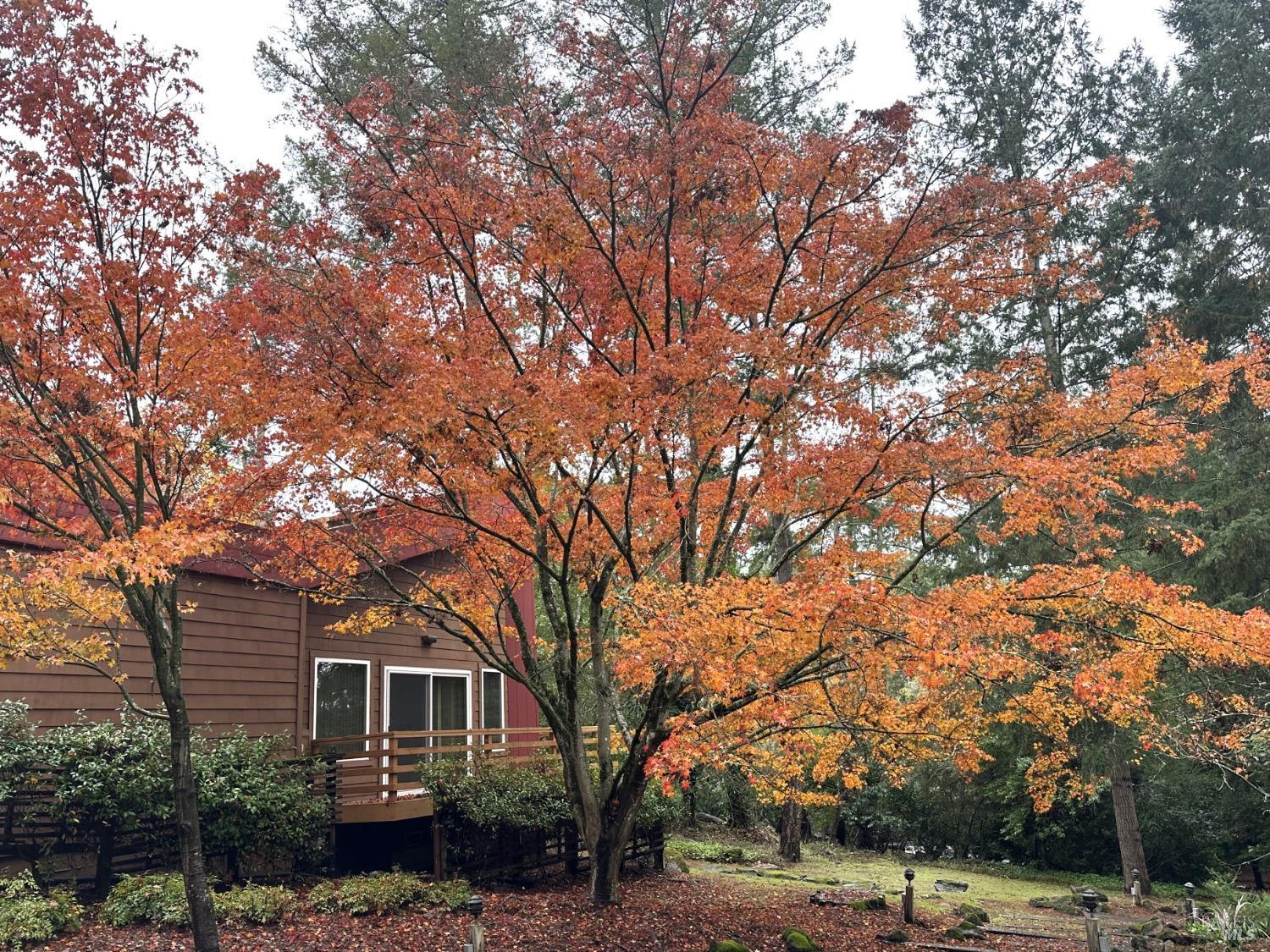 Detail Gallery Image 3 of 48 For 2652 Knob Hill Dr, Santa Rosa,  CA 95404 - 4 Beds | 2/1 Baths