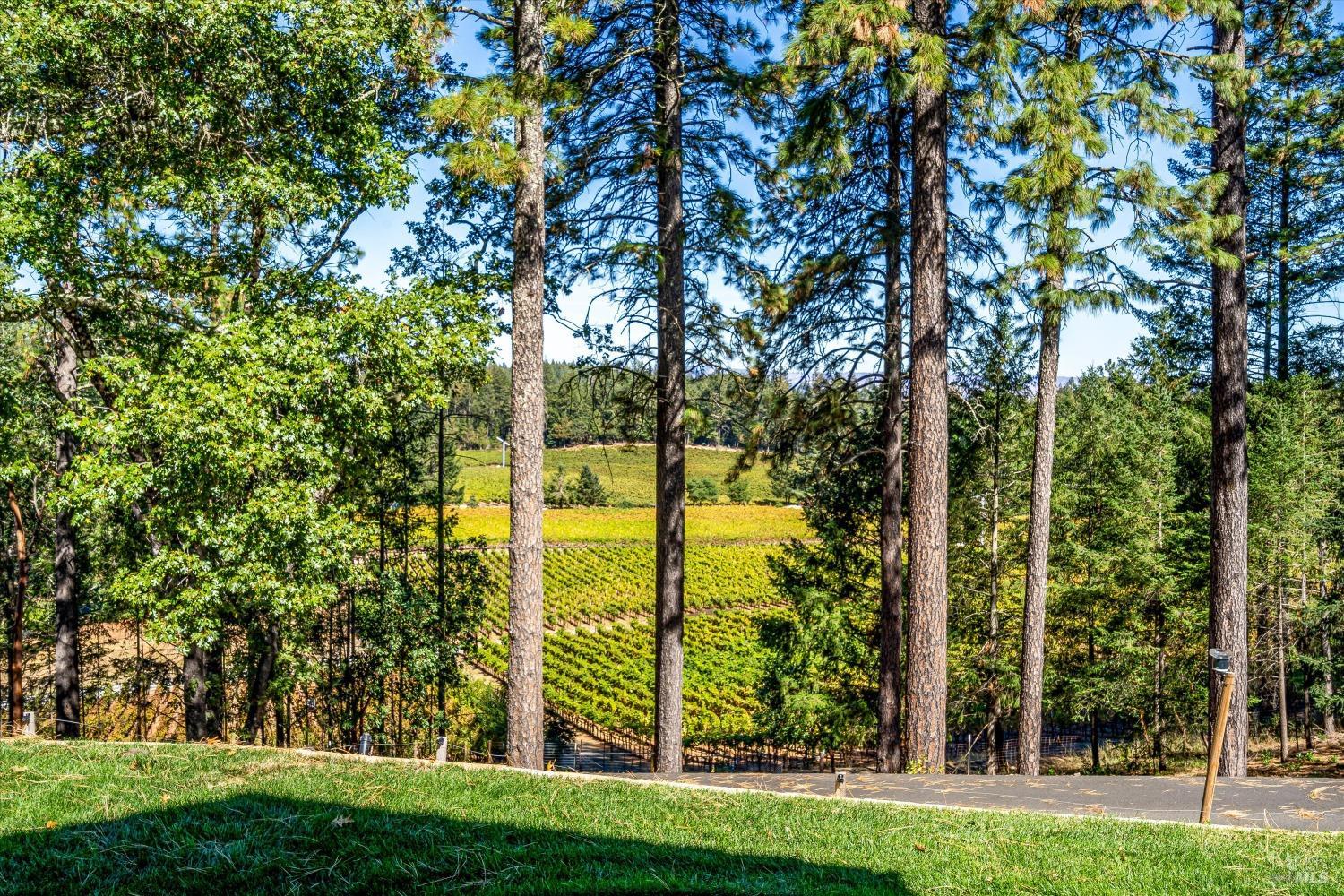 Detail Gallery Image 34 of 72 For 1155 Las Posadas Rd, Angwin,  CA 94508 - 7 Beds | 6 Baths