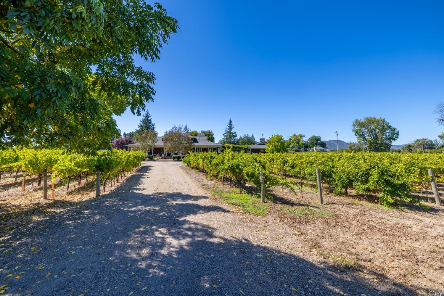 Detail Gallery Image 71 of 73 For 5165 Big Ranch Rd, Napa,  CA 94558 - 3 Beds | 2/1 Baths