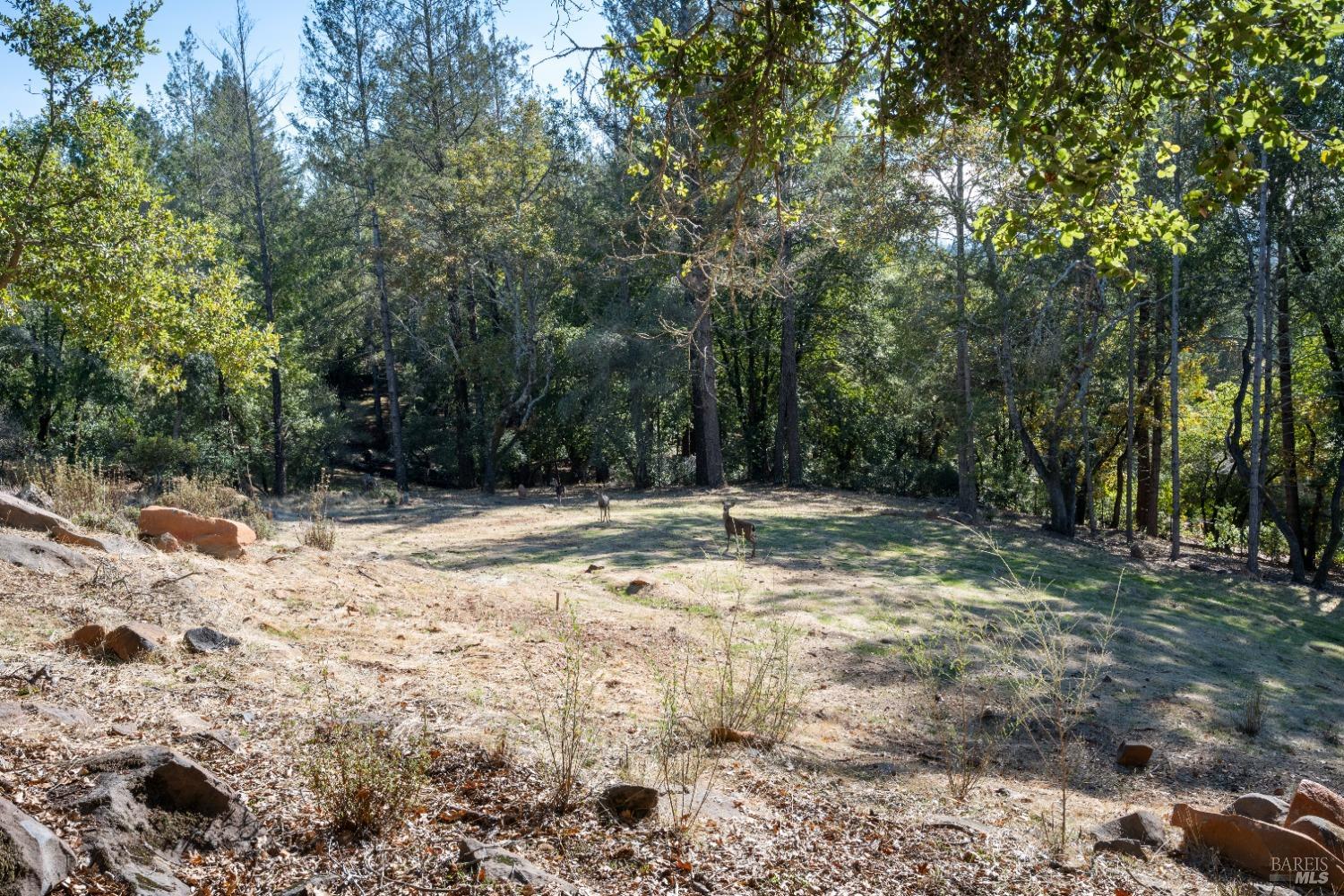 Detail Gallery Image 60 of 83 For 3749 Sleepy Hollow Dr, Santa Rosa,  CA 95404 - 3 Beds | 3 Baths