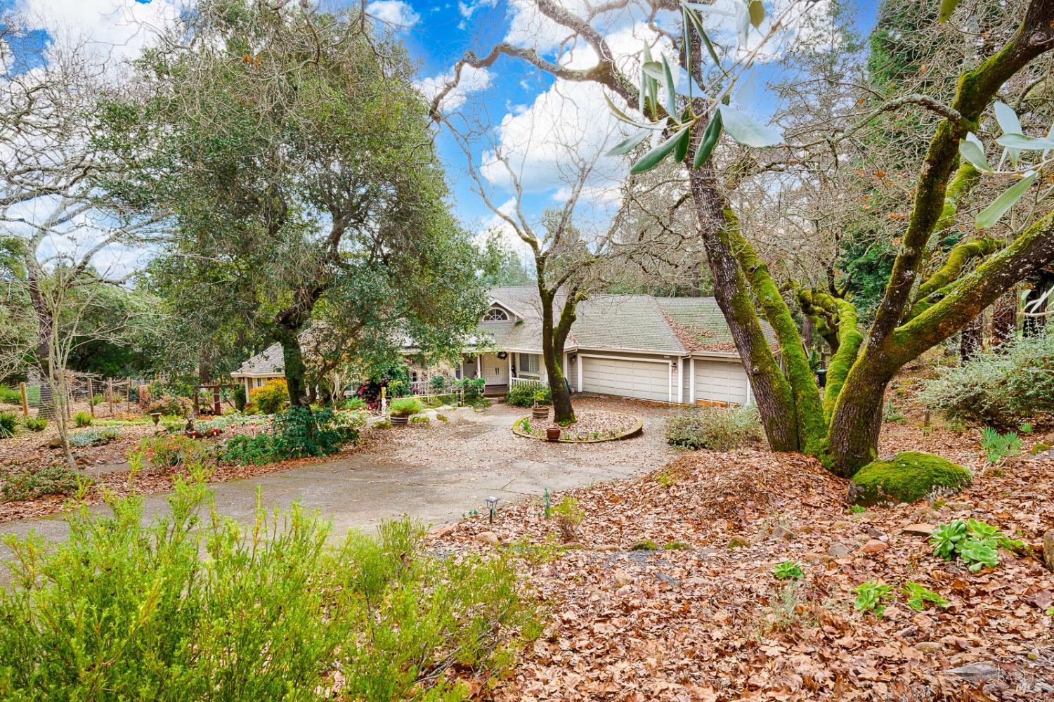 Welcome to this beautiful & serene home, nestled in the highly sought-after Woodside Hills. This property offers 3 beds, 2.5 baths, & 2,900 sq. ft. of living space, plus a 345 sq. ft. bonus room featuring a wine cellar. The irrigated vineyard is ready for grape harvesting, complemented by a picturesque view & the chance to indulge in fine wine and fruit trees, all set on a 0.62-acre lot.  As you arrive via the circular driveway & enter, you'll be greeted by a formal living room with an elegant fireplace. There's also a separate formal dining room. The gourmet kitchen features a large center island with a Wolf stainless-steel gas cooktop, Bosch dishwasher, cherry cabinetry, & granite countertops. This space seamlessly flows into the everyday dining area, which opens to the impressive family room with a soaring cathedral ceiling. French doors lead to the lush backyard.    The en-suite features French doors that bring in natural light, allowing you to walk out to the enchanting backyard. The en-suite bath includes dual sinks, stylish tile, and a separate jacuzzi tub. The other 2 beds are generously sized. The guest baths have been updated, and there is a home office. Additional features include a 3-car garage, hardwood flooring, an above-ground hot tub, and a separate laundry room.