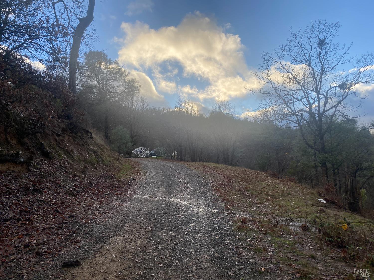 Mendocino Pass Road, Covelo, California image 3