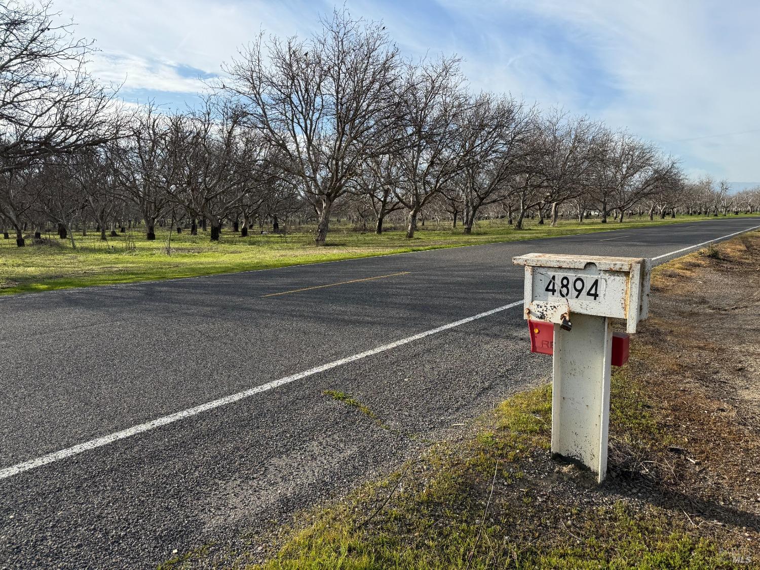 Wolfskill Road, Winters, California image 5