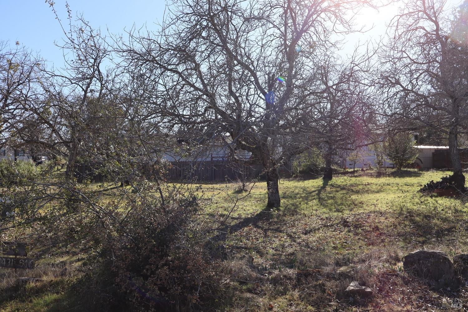 Detail Gallery Image 9 of 12 For 9419 Pawnee Trl, Kelseyville,  CA 95451 - – Beds | – Baths