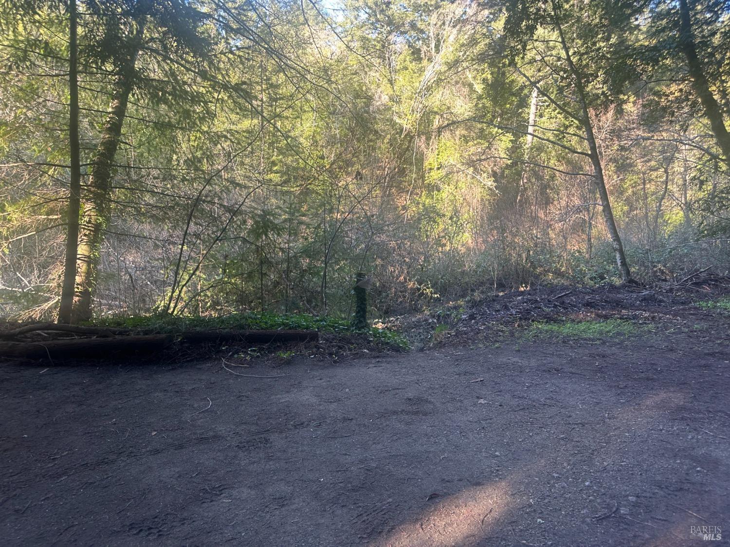 Detail Gallery Image 14 of 69 For 780 E Austin Creek Rd, Cazadero,  CA 95421 - 2 Beds | 1 Baths