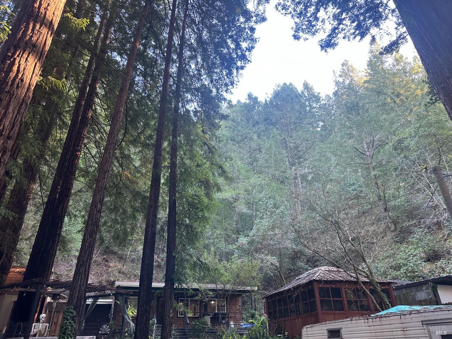 Detail Gallery Image 19 of 69 For 780 E Austin Creek Rd, Cazadero,  CA 95421 - 2 Beds | 1 Baths