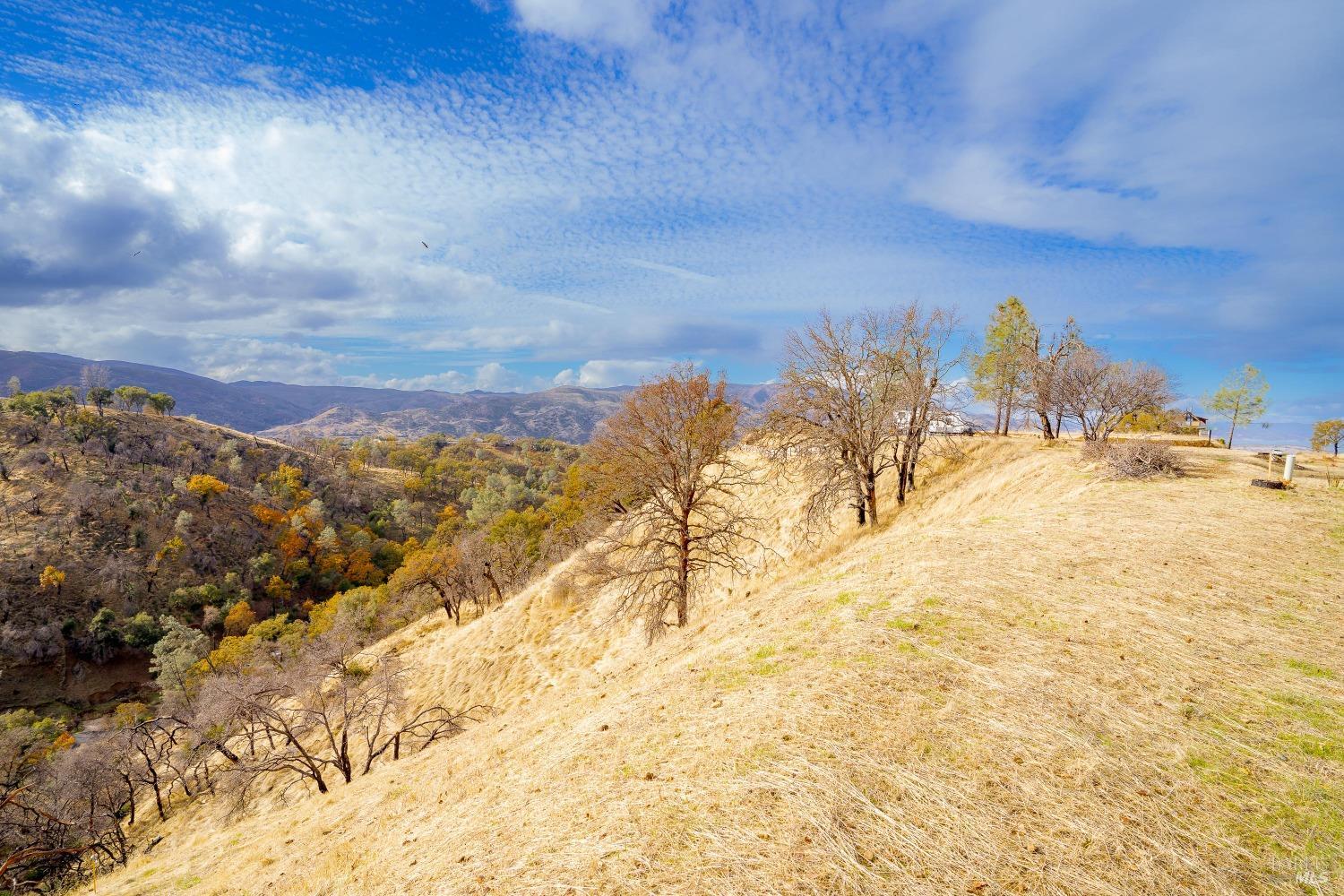 Black Oak #106 Lane, Napa, California image 3