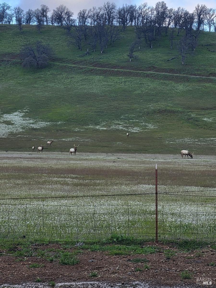 Smith Lane, Clearlake, California image 16