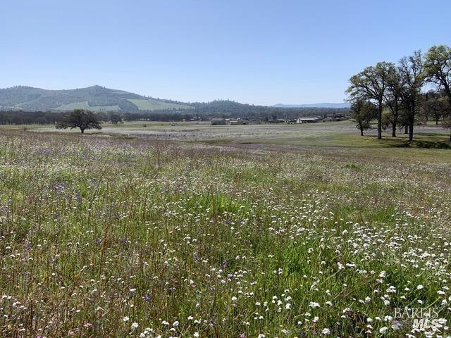 Smith Lane, Clearlake, California image 3