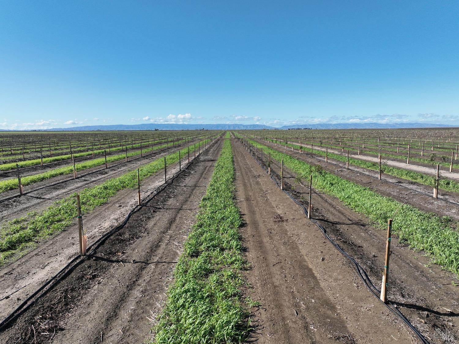 Bulkley Road, Dixon, California image 4