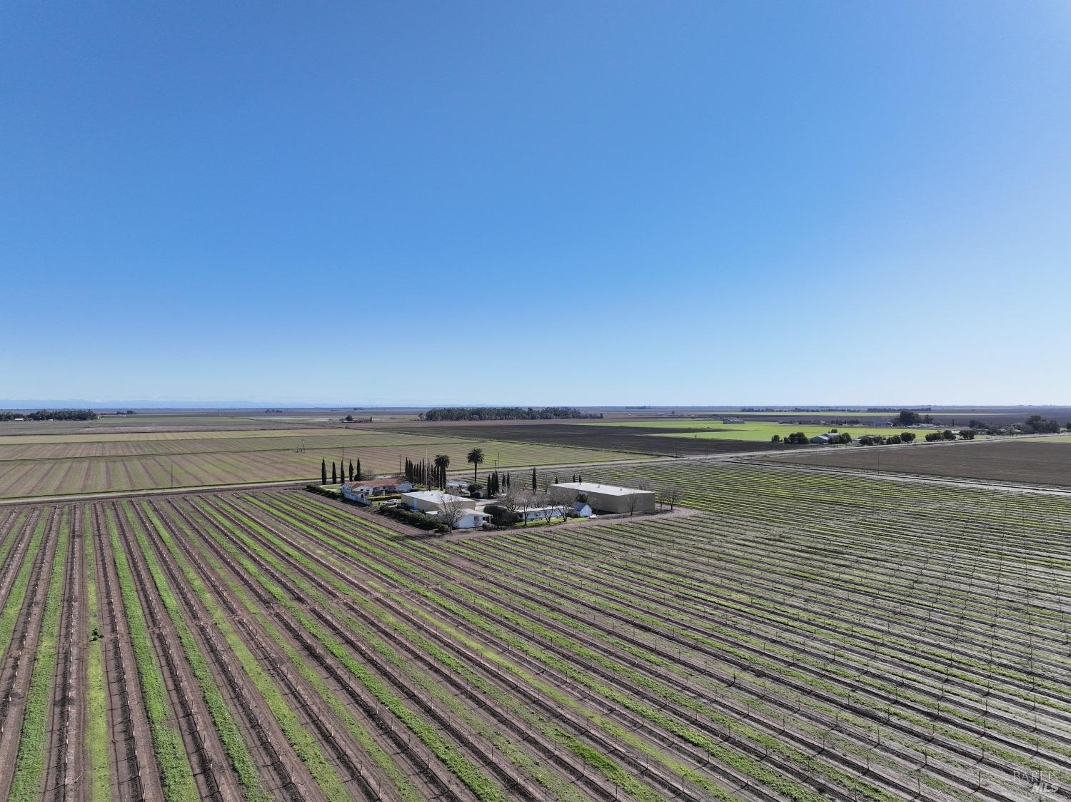 Bulkley Road, Dixon, California image 3