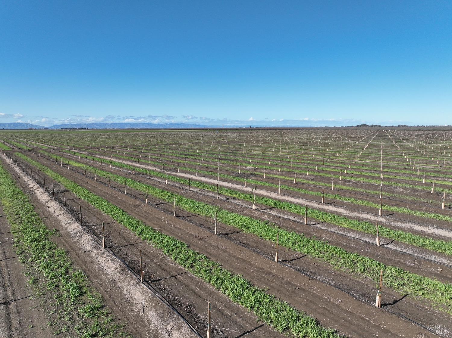 Bulkley Road, Dixon, California image 1