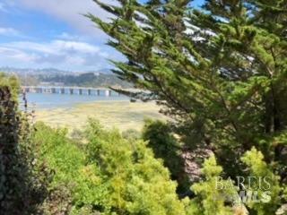 Detail Gallery Image 11 of 24 For 257 Greene St, Mill Valley,  CA 94941 - 2 Beds | 1 Baths