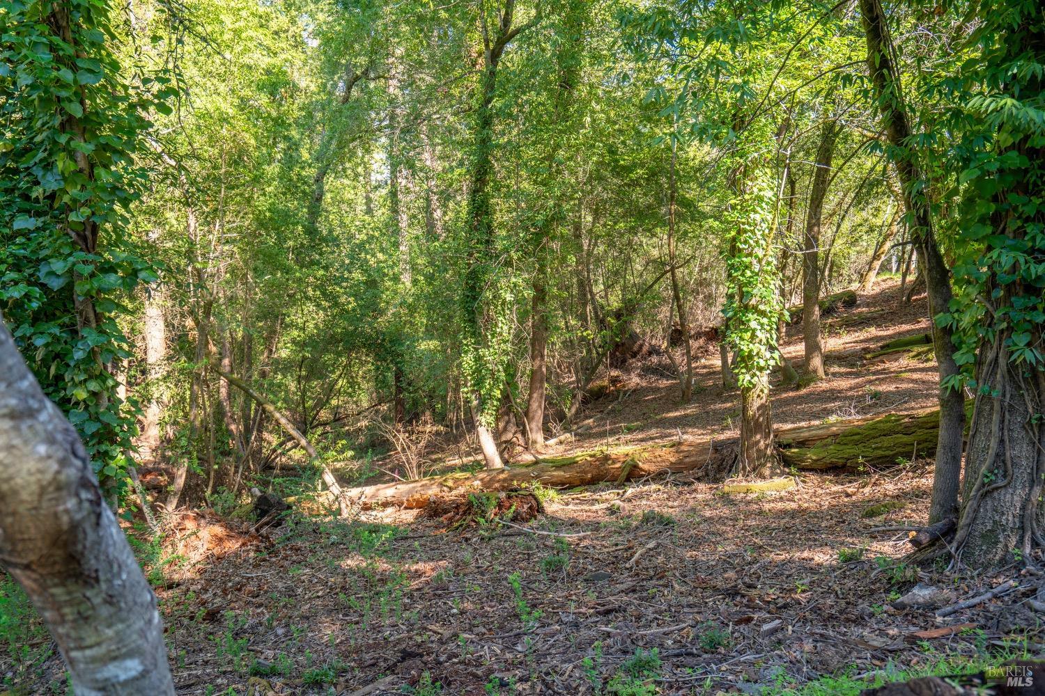 Detail Gallery Image 2 of 19 For 10619 Woodside Dr, Forestville,  CA 95436 - – Beds | – Baths