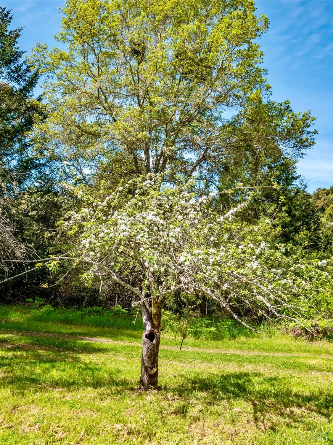 Detail Gallery Image 30 of 43 For 17555 Indian Creek Rd, Philo,  CA 95466 - 2 Beds | 2 Baths