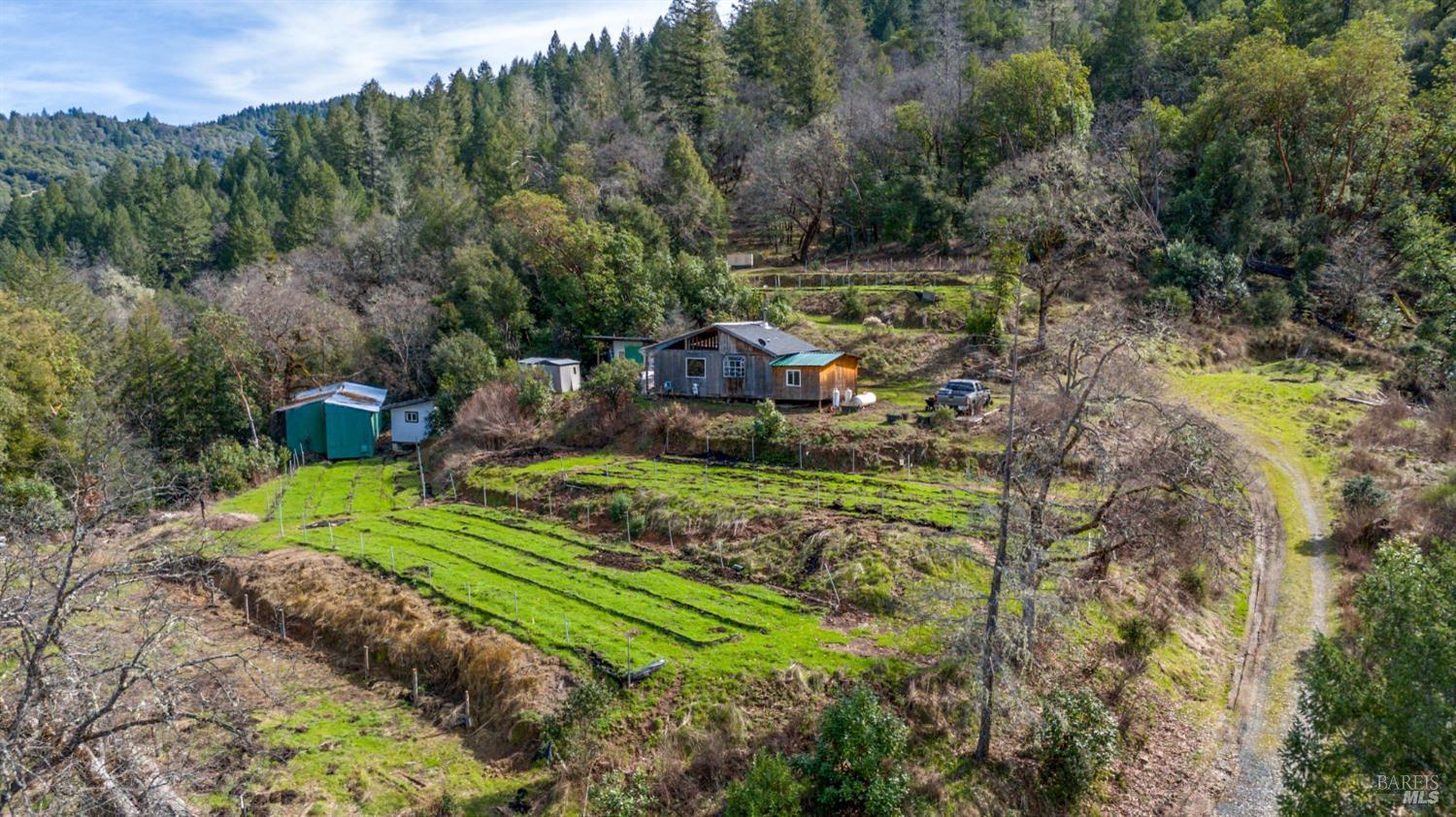 Detail Gallery Image 1 of 1 For 41575 Covelo Rd, Willits,  CA 95490 - – Beds | – Baths