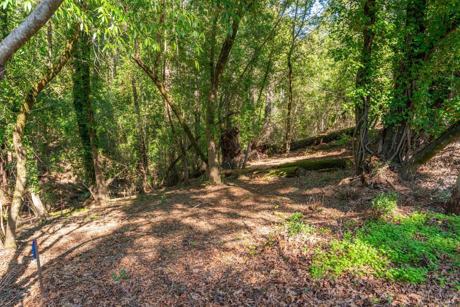 Detail Gallery Image 4 of 19 For 10619 Woodside Dr, Forestville,  CA 95436 - – Beds | – Baths