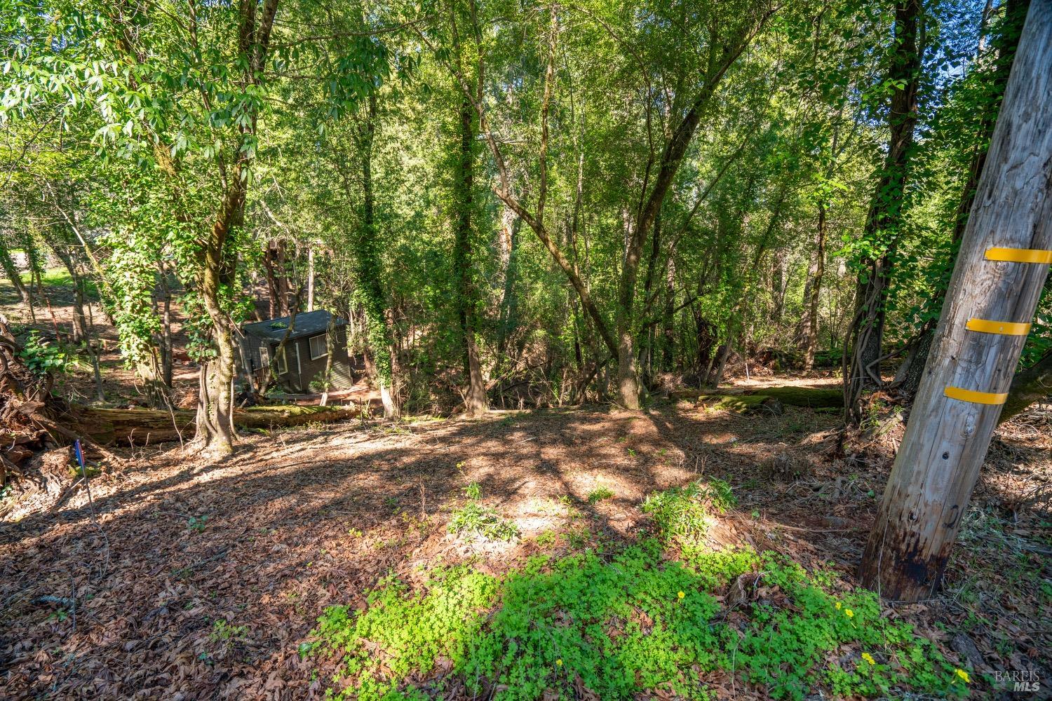 Detail Gallery Image 5 of 19 For 10619 Woodside Dr, Forestville,  CA 95436 - – Beds | – Baths