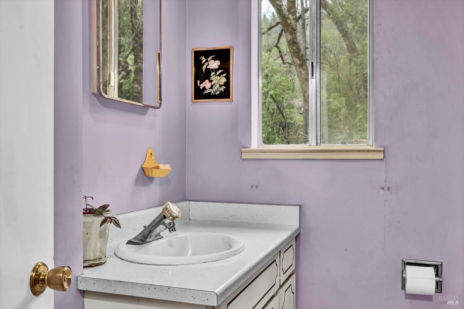 Detail Gallery Image 18 of 27 For 14031 Ettawa Springs Rd, Middletown,  CA 95461 - 3 Beds | 1 Baths