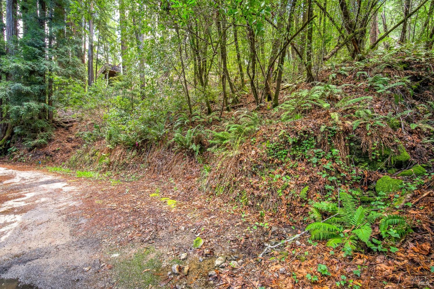 Detail Gallery Image 3 of 10 For 6185 Austin Creek Rd, Cazadero,  CA 95421 - – Beds | – Baths