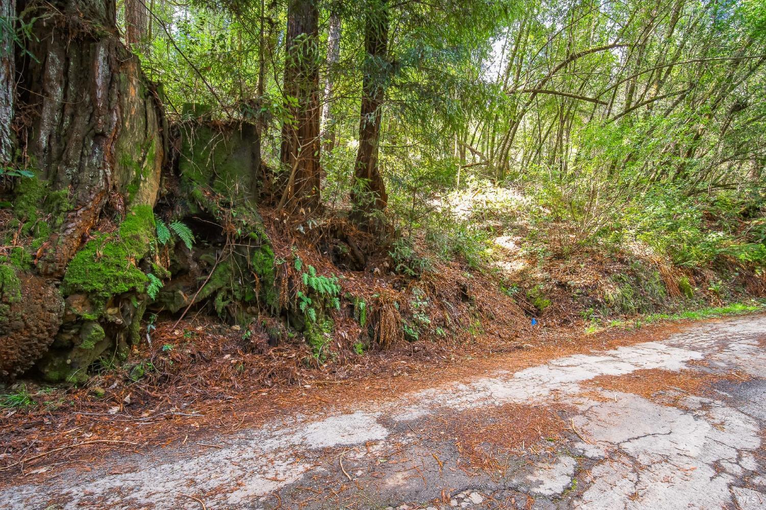 Detail Gallery Image 1 of 10 For 6185 Austin Creek Rd, Cazadero,  CA 95421 - – Beds | – Baths