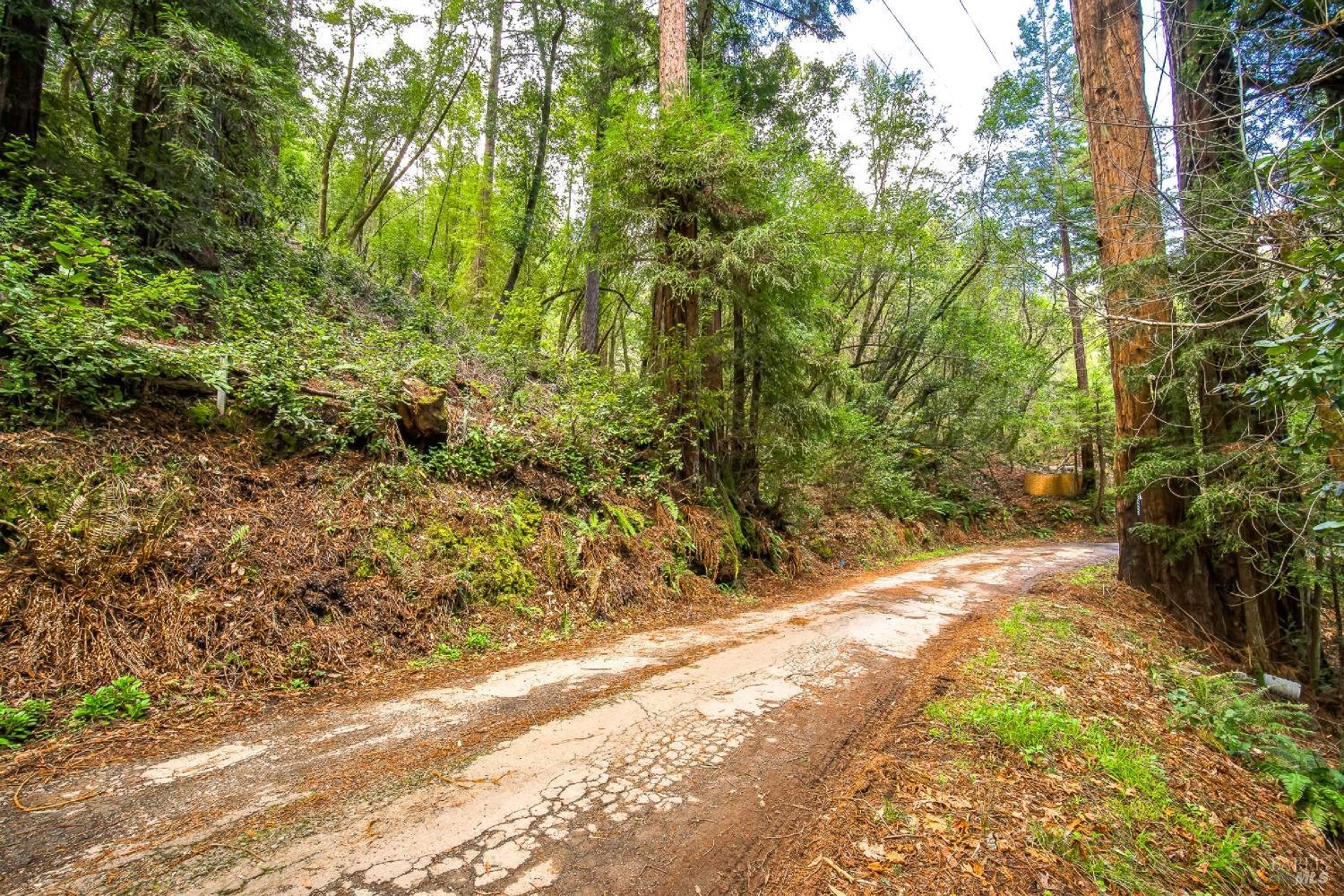 Detail Gallery Image 2 of 10 For 6185 Austin Creek Rd, Cazadero,  CA 95421 - – Beds | – Baths