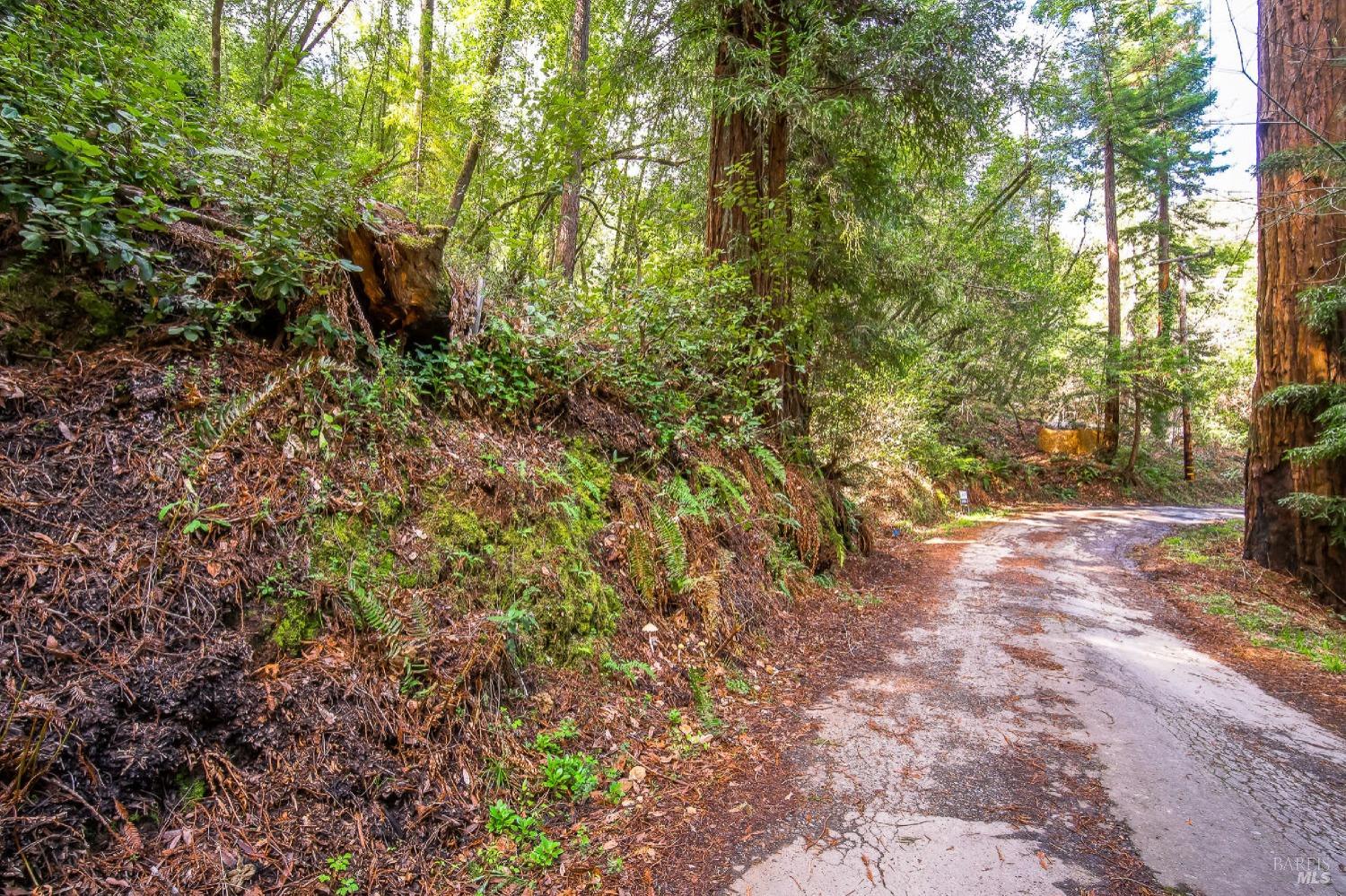 Detail Gallery Image 10 of 10 For 6185 Austin Creek Rd, Cazadero,  CA 95421 - – Beds | – Baths
