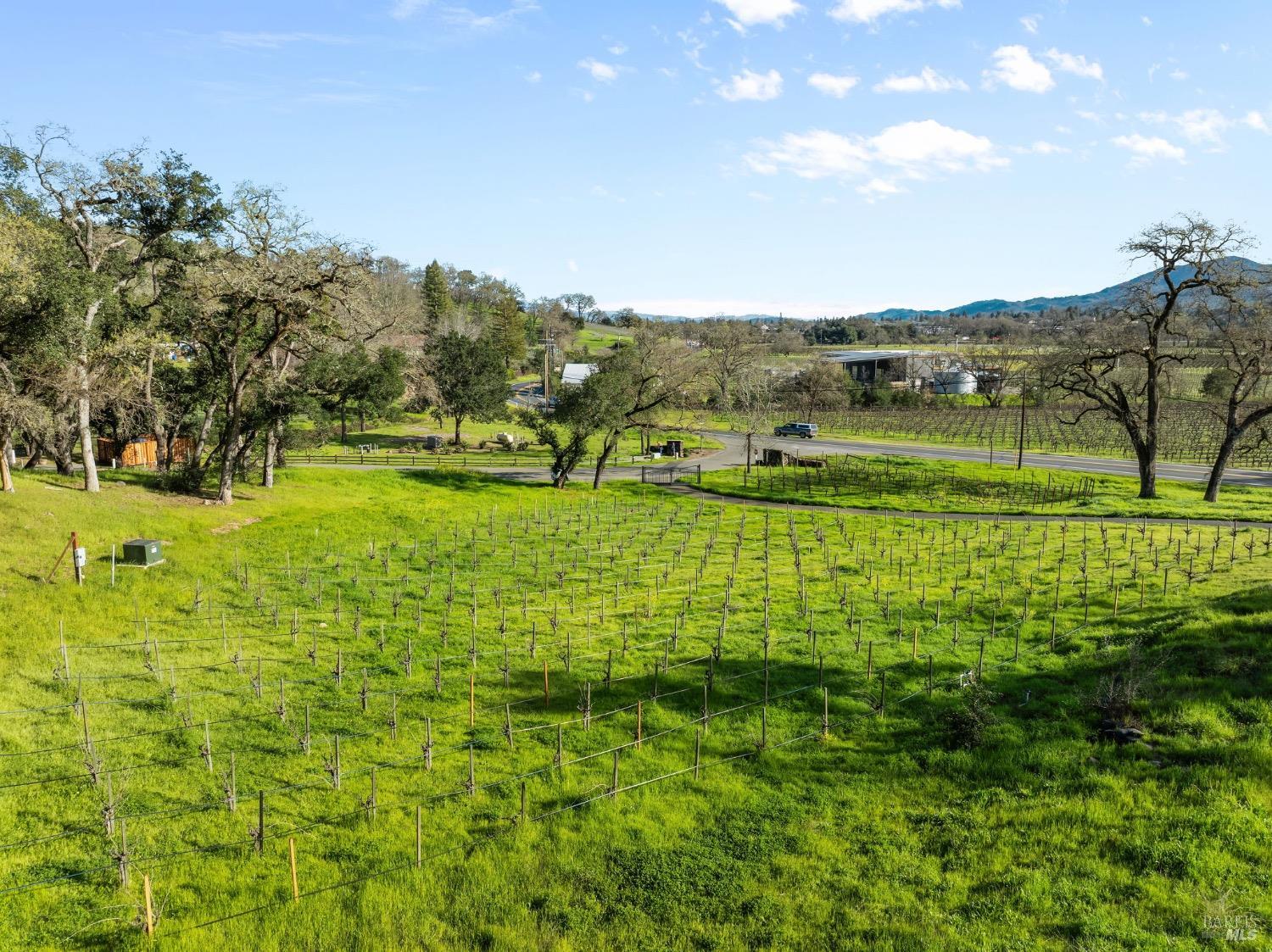 Detail Gallery Image 1 of 1 For 13 Bournemouth Rd, Saint Helena,  CA 94574 - – Beds | – Baths