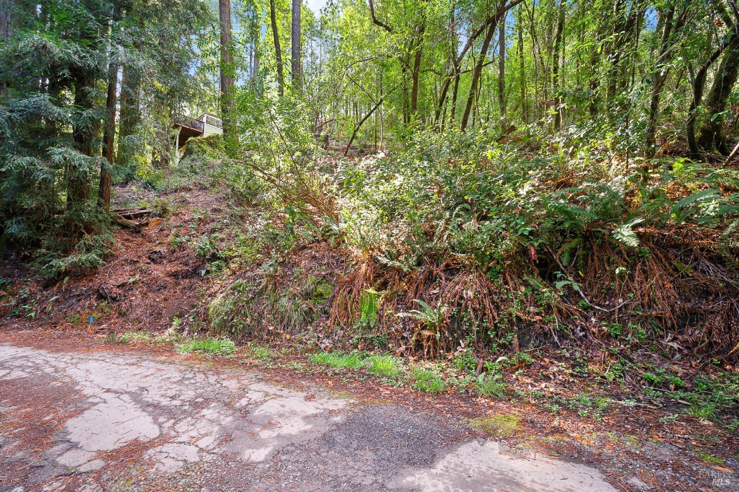 Detail Gallery Image 4 of 10 For 6185 Austin Creek Rd, Cazadero,  CA 95421 - – Beds | – Baths