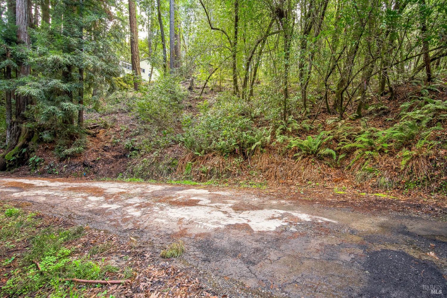 Detail Gallery Image 5 of 10 For 6185 Austin Creek Rd, Cazadero,  CA 95421 - – Beds | – Baths