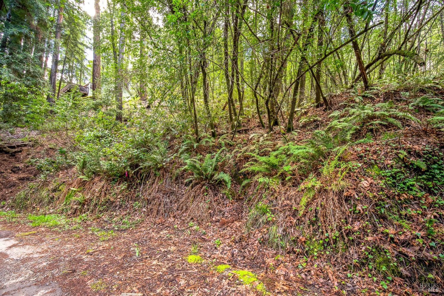 Detail Gallery Image 7 of 10 For 6185 Austin Creek Rd, Cazadero,  CA 95421 - – Beds | – Baths
