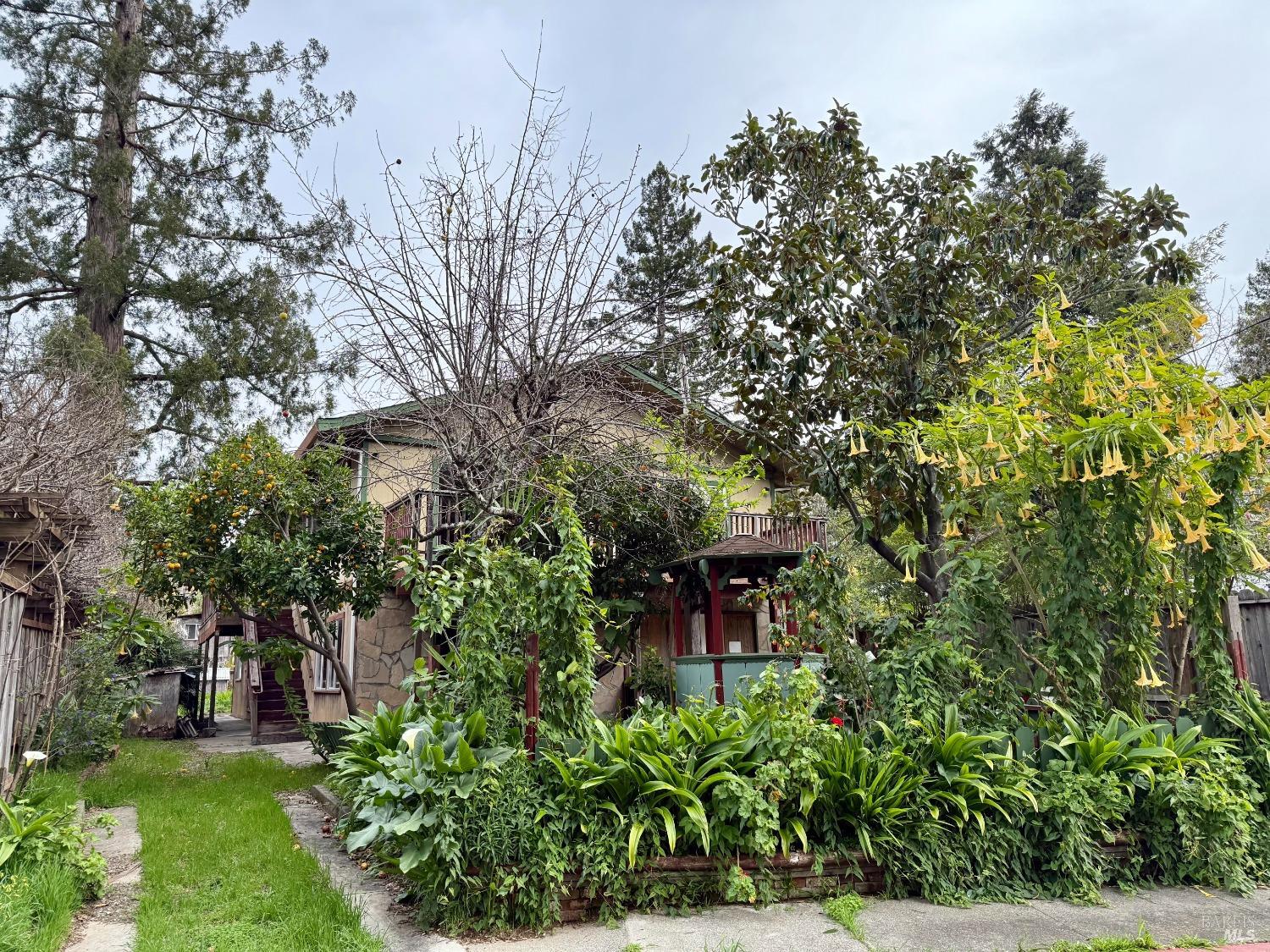 Detail Gallery Image 1 of 1 For 6 Cedar Ave, Kentfield,  CA 94904 - 3 Beds | 2 Baths
