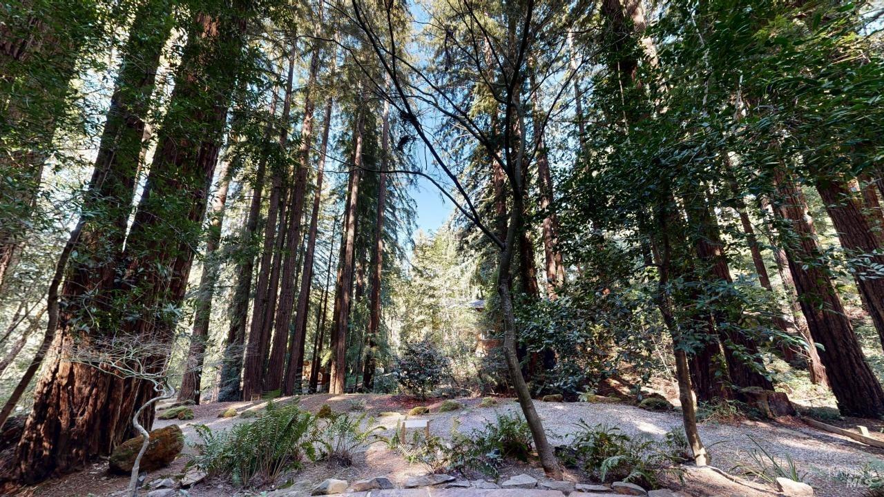 Detail Gallery Image 58 of 99 For 391 San Geronimo Valley Dr, San Geronimo,  CA 94963 - 3 Beds | 2/1 Baths