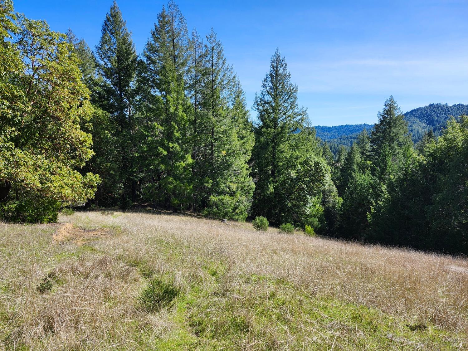 Detail Gallery Image 24 of 32 For 1075 Dutyville Rd, Garberville,  CA 95542 - 2 Beds | 2 Baths