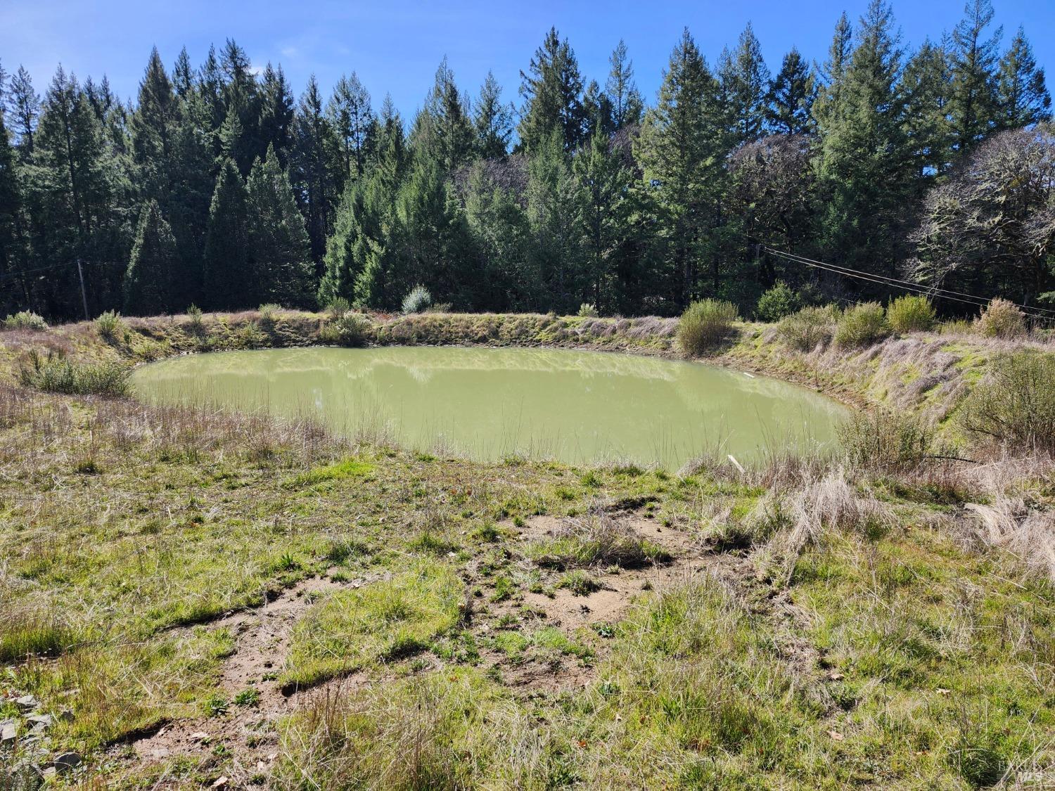 Detail Gallery Image 29 of 32 For 1075 Dutyville Rd, Garberville,  CA 95542 - 2 Beds | 2 Baths