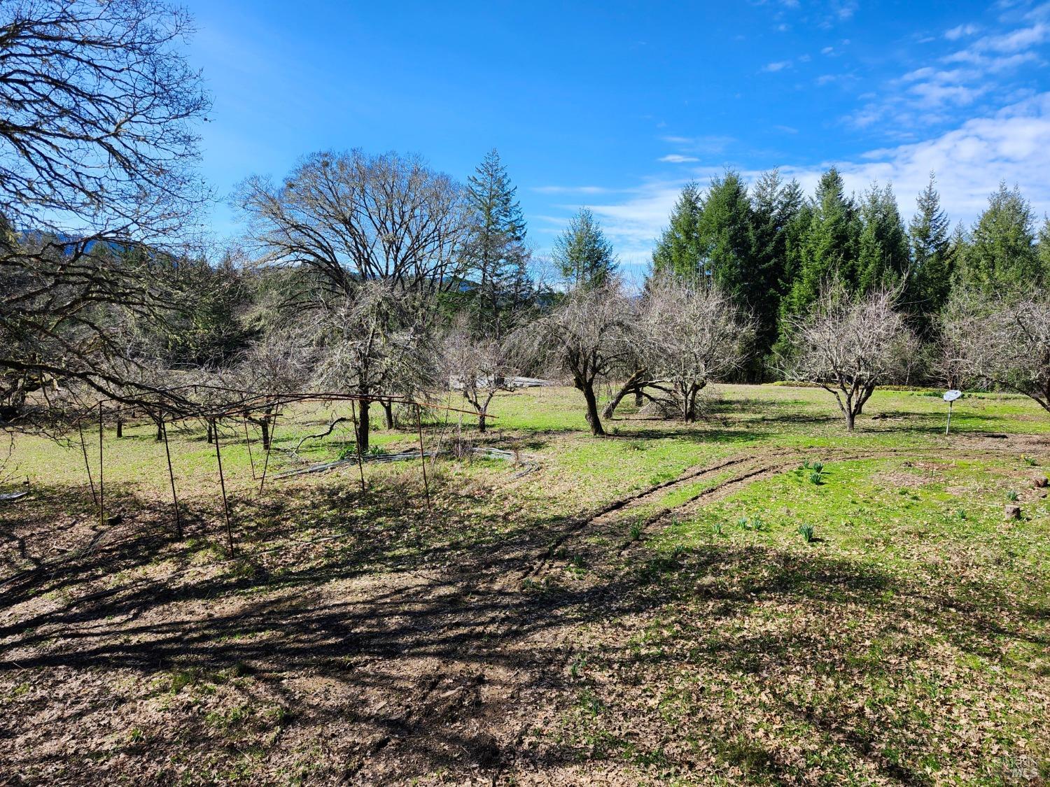 Detail Gallery Image 18 of 32 For 1075 Dutyville Rd, Garberville,  CA 95542 - 2 Beds | 2 Baths