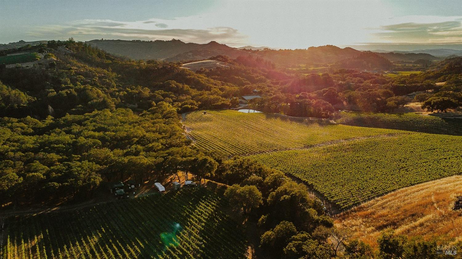 Search Homes for Rent