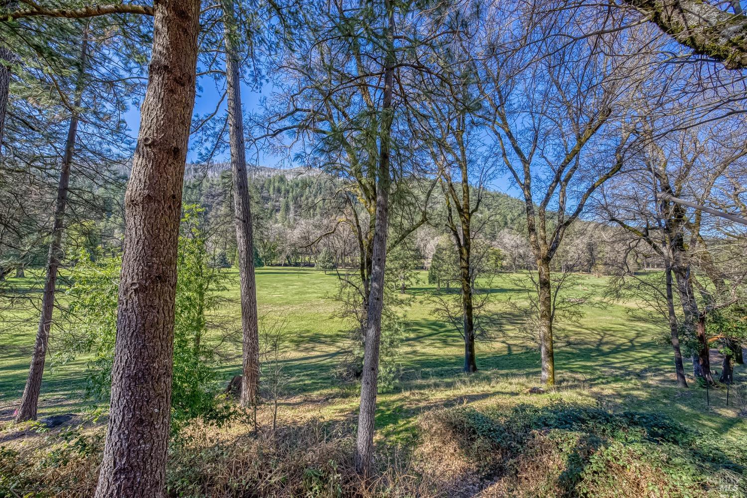 Detail Gallery Image 38 of 45 For 16345 Tee Rd, Cobb,  CA 95426 - 2 Beds | 2/1 Baths
